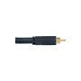Rca Proel MRCA50BK-2446