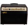 Combo Mega Amp AC-60R akustyczne-2457