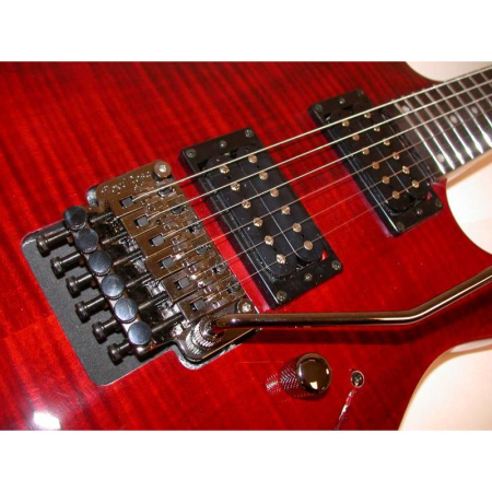 Gitara elektryczna Dean Custom Floyd 350-2505