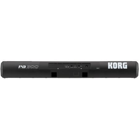 Korg PA300 PL keyboard instrument klawiszowy MP3-359