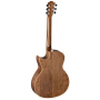 Gitara akustyczna Baton Rouge AR20C/ACE-LTD EQ-45098