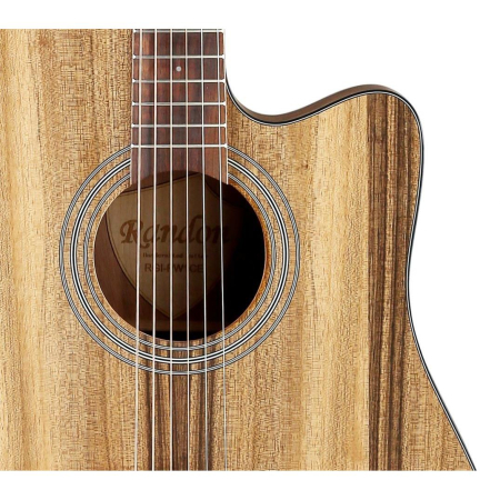 Gitara akustyczna Randon RGI-PW1-CE EQ-45626