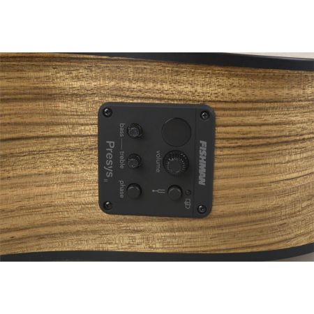 Gitara akustyczna Randon RGI-PW1-CE EQ-45627