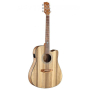 Gitara akustyczna Randon RGI-PW1-CE EQ-45625