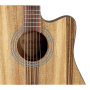 Gitara akustyczna Randon RGI-PW1-CE EQ-45626