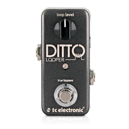 Efekt TC Electronic Ditto Looper-53422