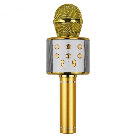 Mikrofon Karaoke NN Gold-53480