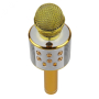 Mikrofon Karaoke NN Gold-53481