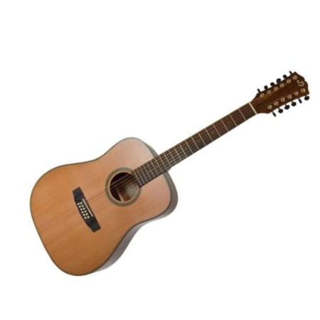 Gitara akustyczna Dowina Rustica DCE-12s 12str-54551
