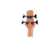 Gitara basowa akustyczna Furch Bc 61 CM4 LR Baggs -55711