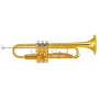 Trąbka Sounder Gold Bb -59895