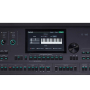 Medeli AKX10 keyboard -60386
