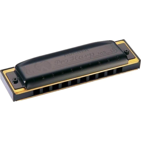 Harmonijka Hohner Pro Harp D-dur-60926