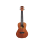 Gitara ukulele FlyCat C10C concert-6134