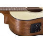 Gitara akustyczna Baton Rouge X11S/FJE EQ NT-61941