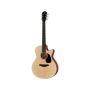 Gitara akustyczna Furch Violet Gc-SM LRBaggsSPE EQ-63448