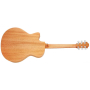 Gitara akustyczna Furch Violet Gc-SM LRBaggsSPE EQ-63454