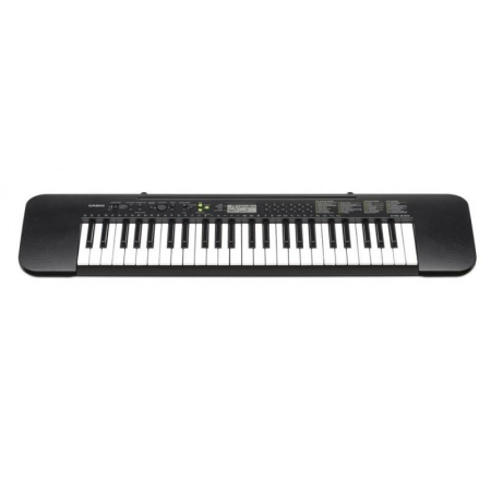 Casio CTK-240 keyboard -6366