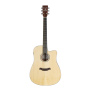Gitara akustyczna Logan DN11D CEQ NT elektro      -64442