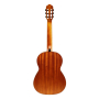 Gitara klasyczna Alvera ACG206NT 4/4 koncertowa-64991