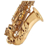 Saksofon altowy V-TONE AS-100 -65704