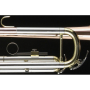 Trąbka Trevor James Renaissance TJTR-4500 SP-663
