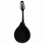Mandolina Harley Benton HBMA-50 B-67891