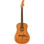 Fender Highway Series Dreadnought RW All- Mahogany-69127