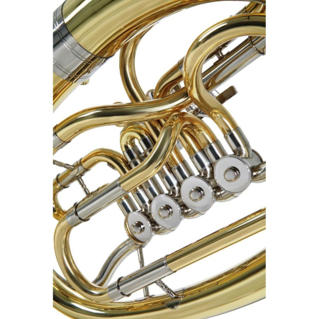 Baryton Roy Benson BH-202 RB701460-69264