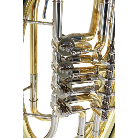 Baryton Roy Benson BH-202 RB701460-69265