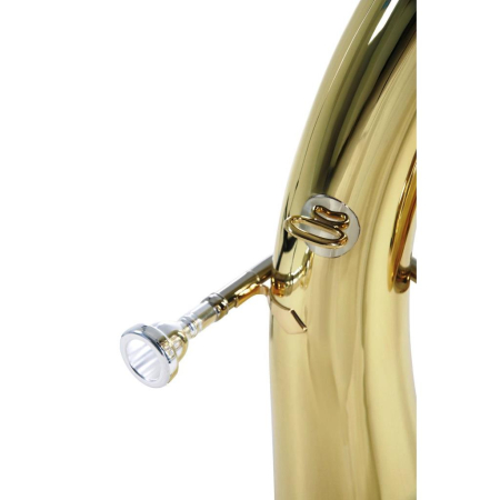 Baryton Roy Benson BH-202 RB701460-69266