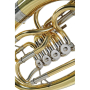 Baryton Roy Benson BH-202 RB701460-69264