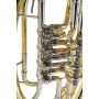 Baryton Roy Benson BH-202 RB701460-69265