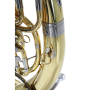 Baryton Roy Benson BH-202 RB701460-69267