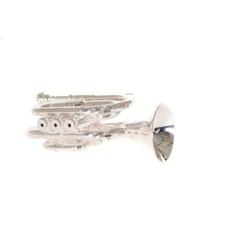 Trąbka Roy Benson Pocket PT-101S RB701010-69789