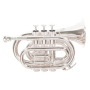 Trąbka Roy Benson Pocket PT-101S RB701010-69787