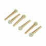 Zatyczka kołek do strun Harley Benton Ivory 6 szt.-69895