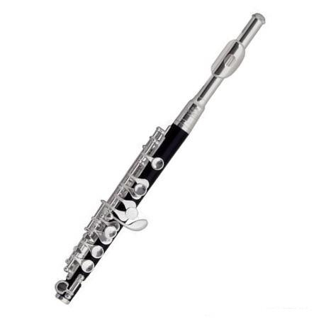 Flet piccolo Roy Benson PC-502 RB700402-699
