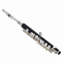 Flet piccolo PFL200-SP silver-70484