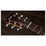 Taylor 114CE Special Edition Gloss gitara electroA-71434