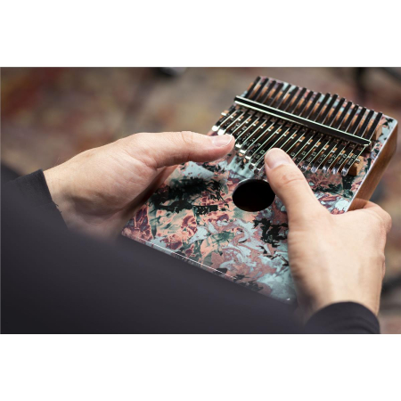 Meinl Sound Hole Designer Kalimba CoralReef KA17CR-72495