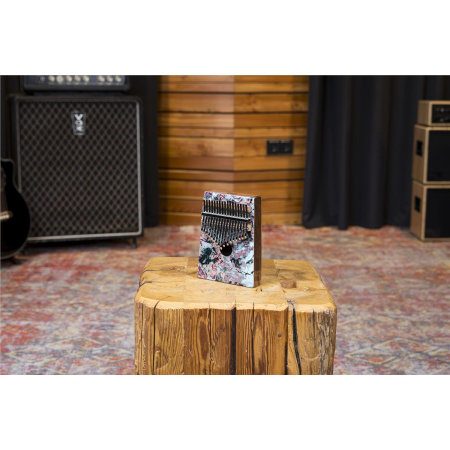 Meinl Sound Hole Designer Kalimba CoralReef KA17CR-72499