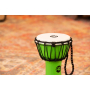 Meinl Percussion JRD Djembe - Green 7 cali-72807