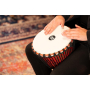 Meinl Percussion PADJ1-M-F Pharaoh's Script 10