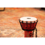 Meinl Percussion JRD Djembe - Pharaos Script 7cali-73051