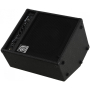Combo AMPEG BA110 V2-7411
