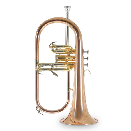 Flugelhorn Roy Benson FH-302G Bb -74357