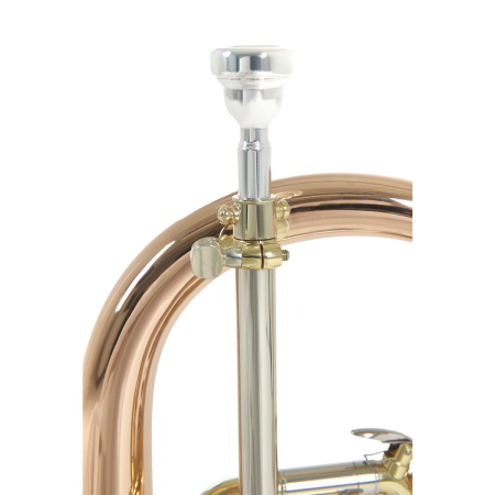 Flugelhorn Roy Benson FH-302G Bb -74358