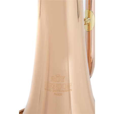Flugelhorn Roy Benson FH-302G Bb -74361