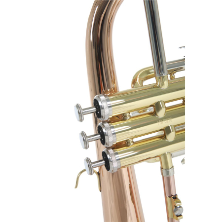 Flugelhorn Roy Benson FH-302G Bb -74362